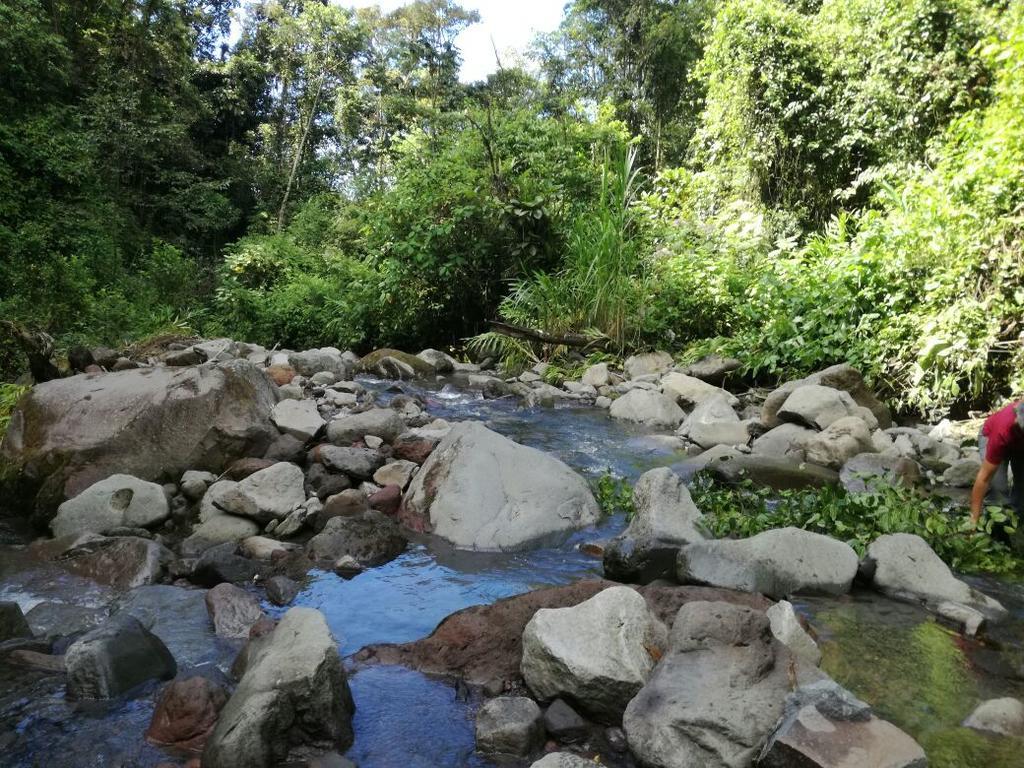 Santa Cruz  Guayabo Lodge מראה חיצוני תמונה